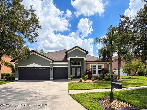 3124 Chessington Dr, Land O Lakes, FL 34638