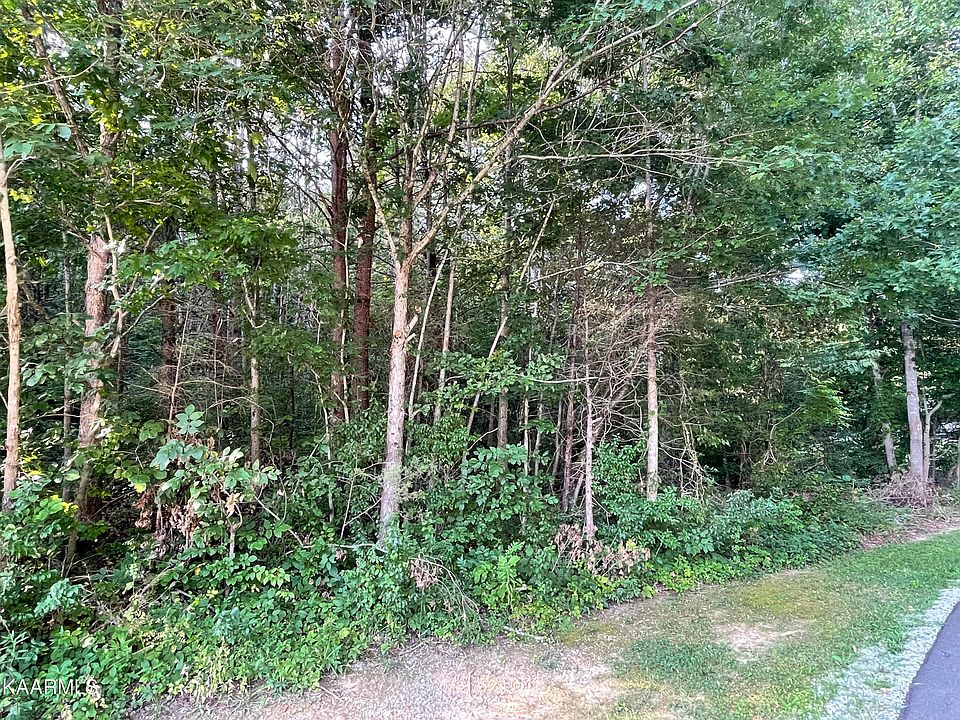2nd image of Hope Wier Ln