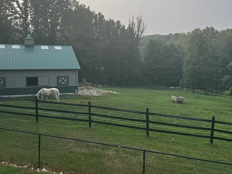1491 Boxwood Farm Rd — Photo 9