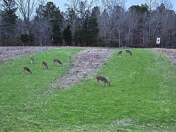5th image of 0 County Road 7 #0