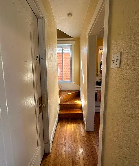 583 Neeb St — Photo 8