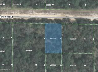 125 Sumac St, Interlachen, FL 32148