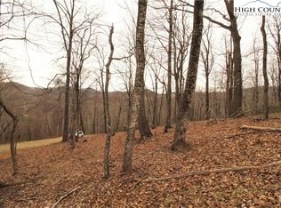 Tbd Nc Highway 194 S, Todd, NC 28684