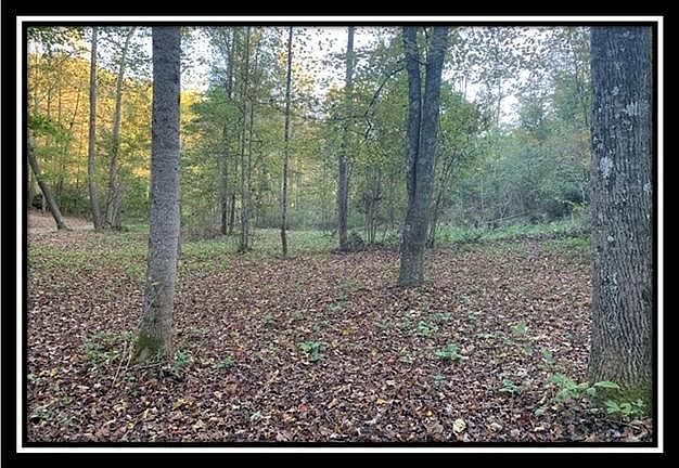1st image of 0 Coon Hollow