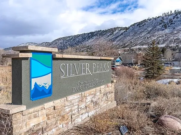 1100 Goeglein Gulch Rd #222, Durango, CO 81301