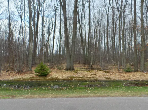 000 OAK RIDGE ROAD, Medford, WI 54451