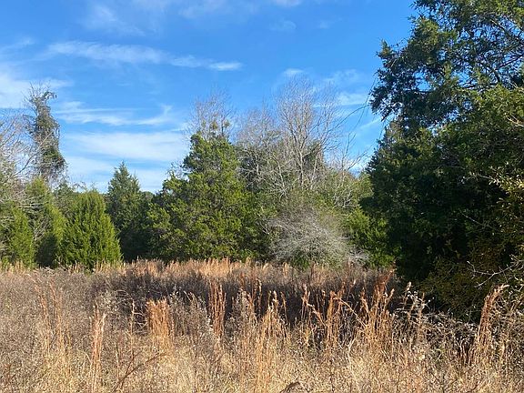 2nd image of County Road 250