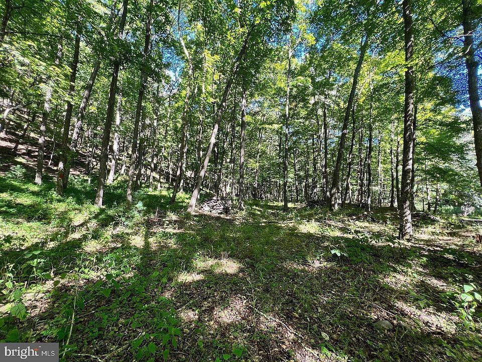 1st image of 4 Section #7