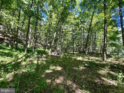 4 Section #7, Old Fields, WV, 26845