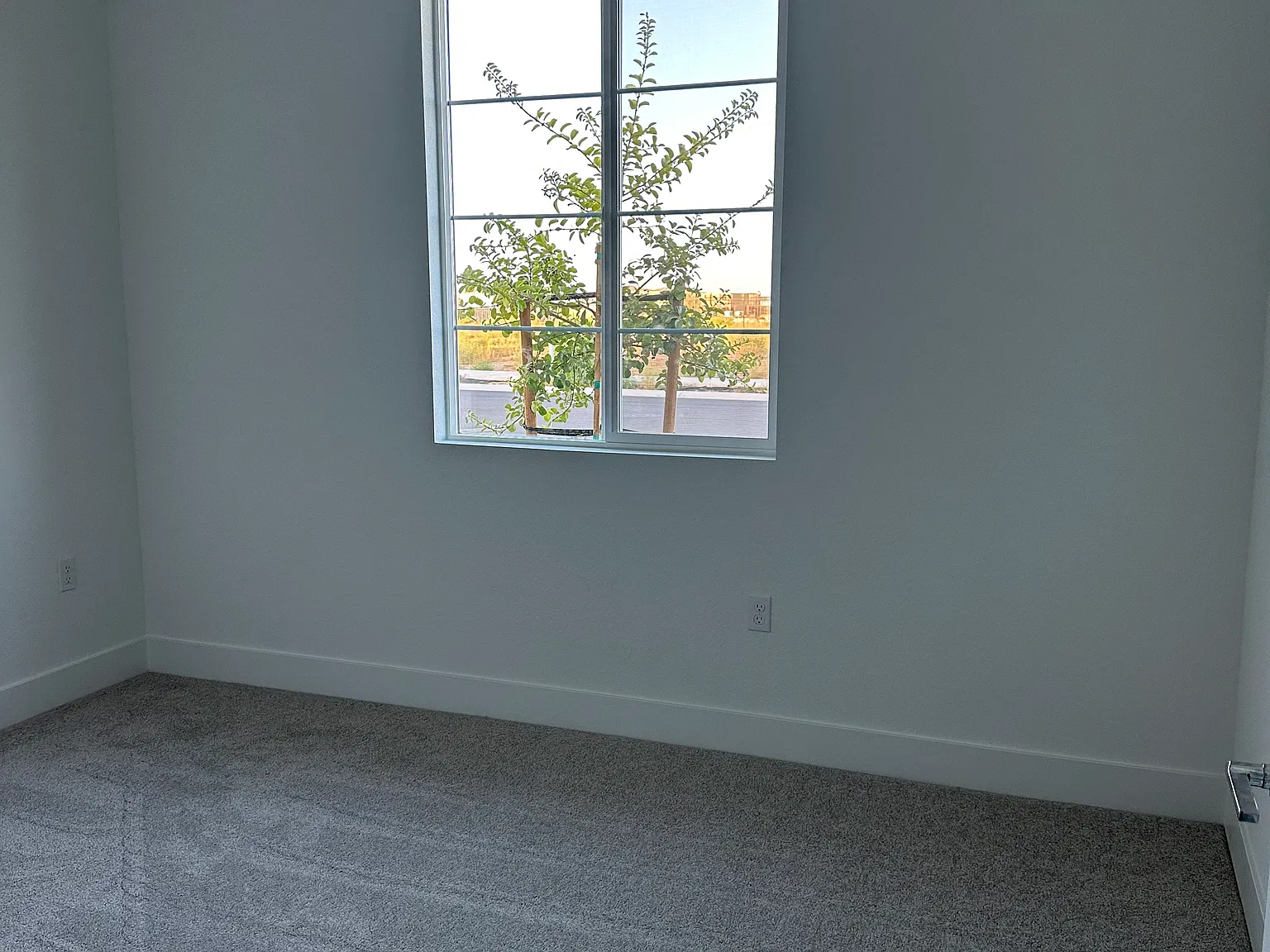 4 bed, 2356 sqft, $1,000 — Photo 3