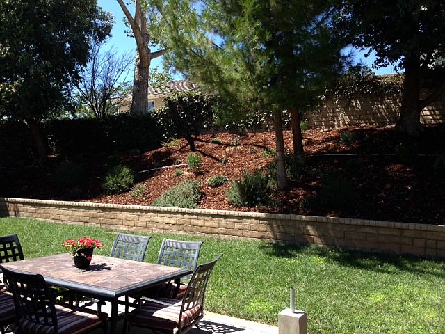 2nd image of 23433 Berwick Pl