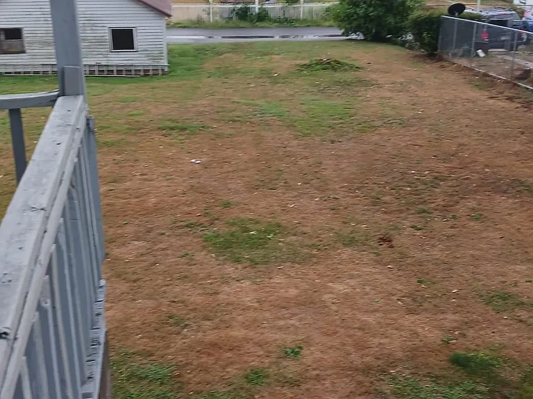 Much greener when it isn't August!