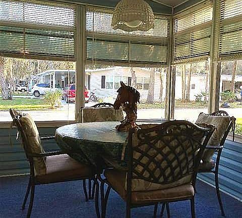 3rd image of 3125 Carmie Dr