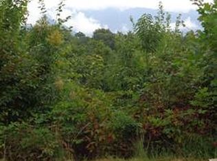 1050 Bear Way, Gatlinburg, TN 37738