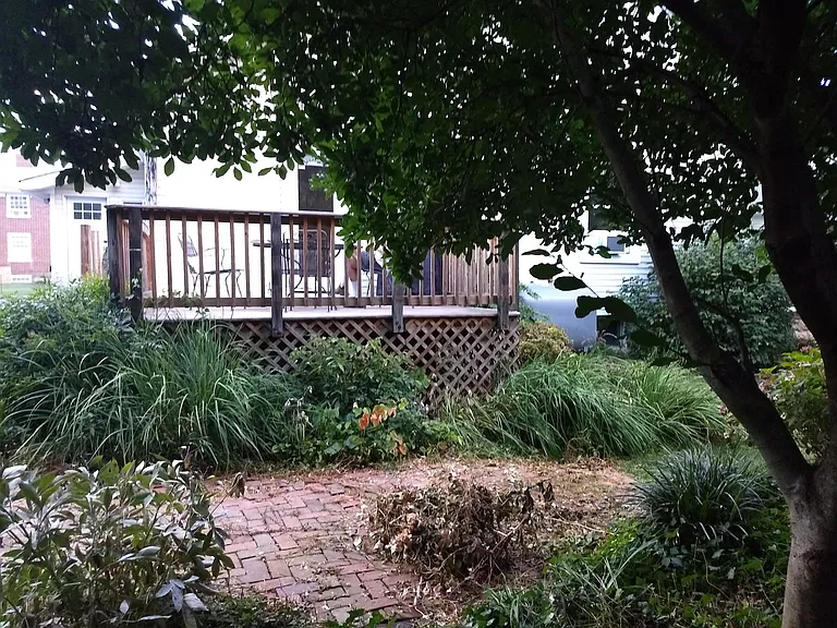 Deck from backyard.
