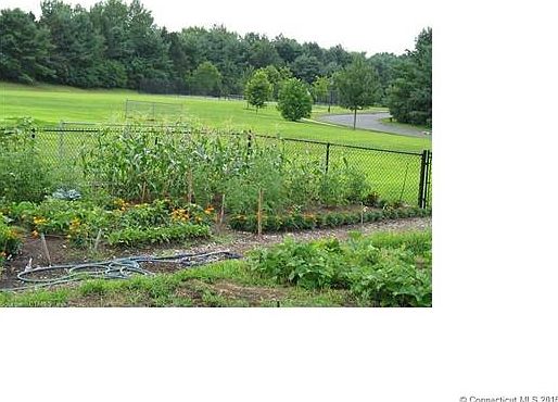 Community Garden, ball fiel...