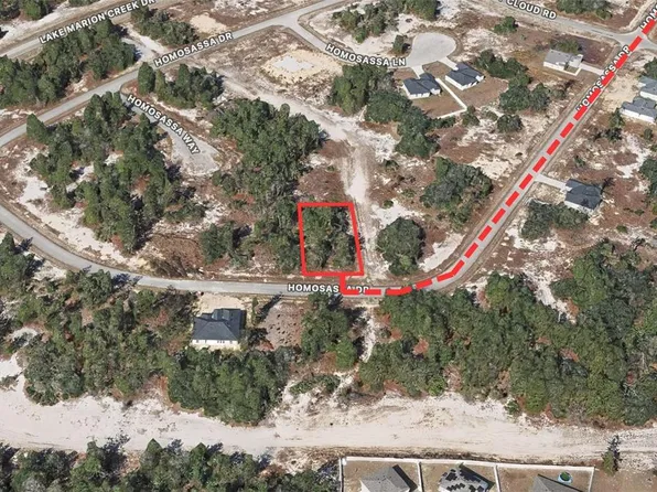 1333 Homosassa Dr Lot 18, Kissimmee, FL 34759