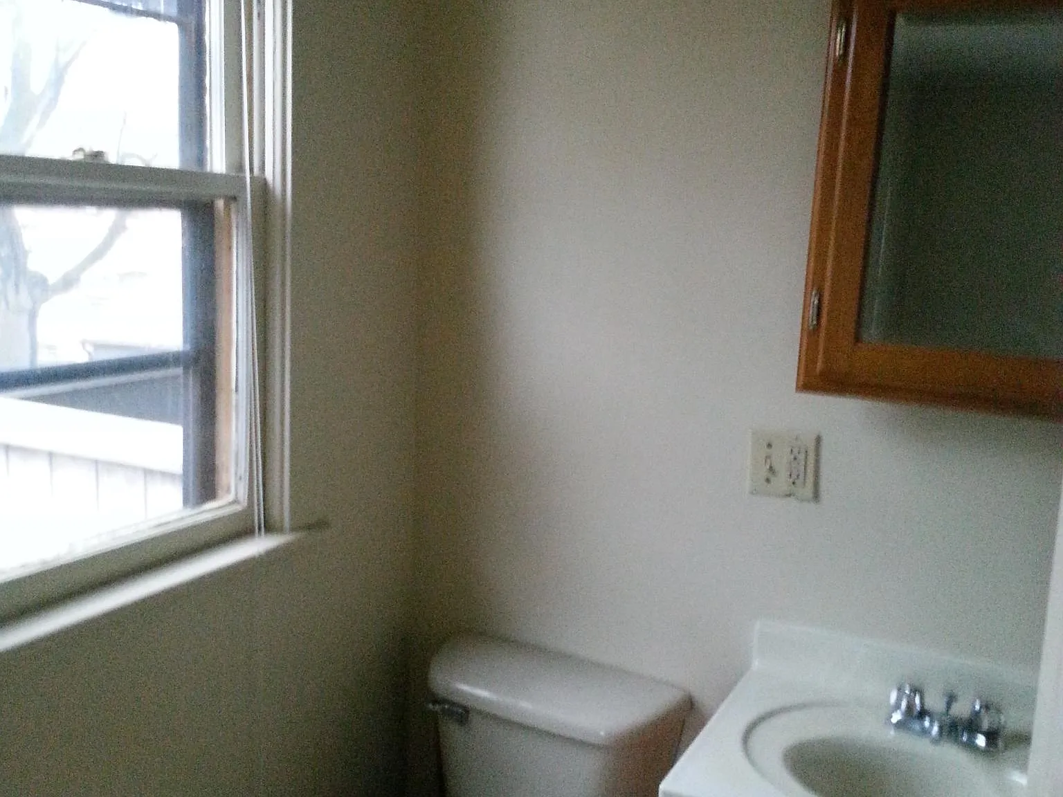 1 bed, 700 sqft, $1,250 — Photo 4