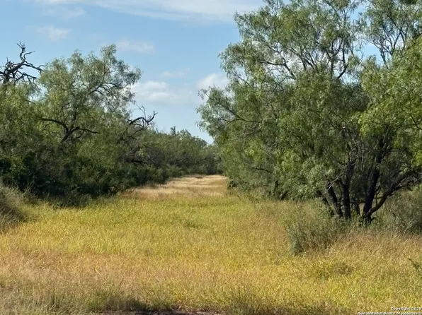 385 County Road 334 LOT 4, Charlotte, TX 78011