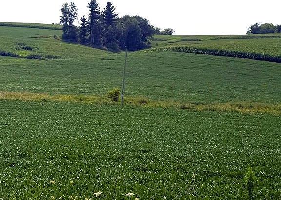 3rd image of 125 acres Steig Coulee Road