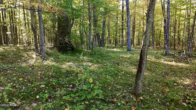 5th image of L16 Peavey Road