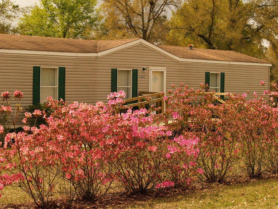 Azaleas along the front property line