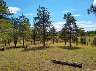 2789 Wagon Wheel Rd #325, Hartsel, CO 80449