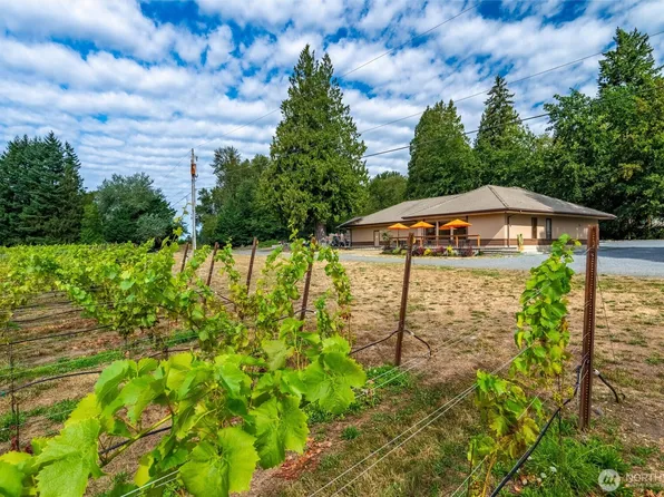 4290 Mt Baker Highway, Everson, WA 98247