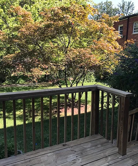 Back deck opens to courtyard