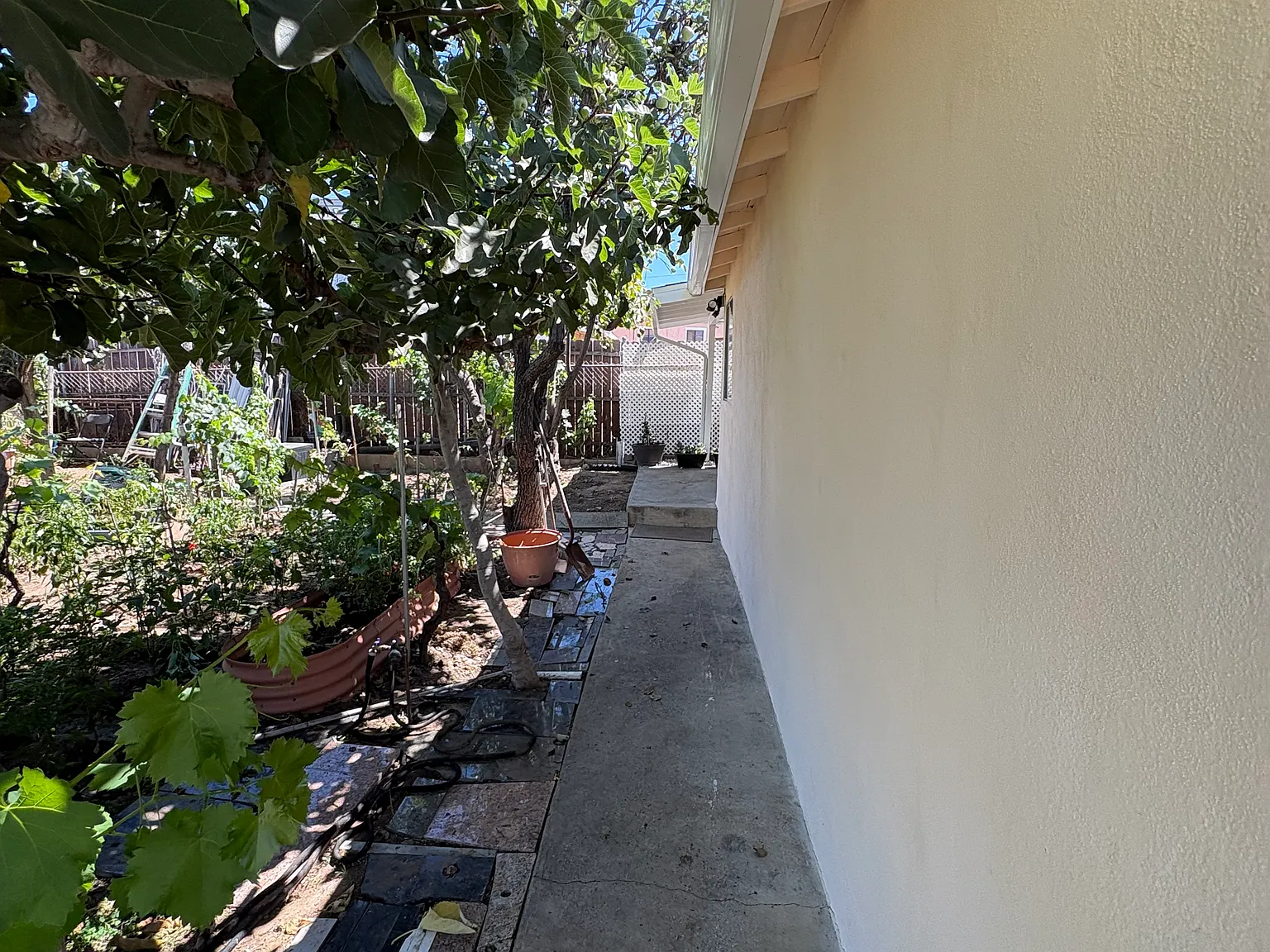 1 bed, 360 sqft, $1,600 — Photo 2