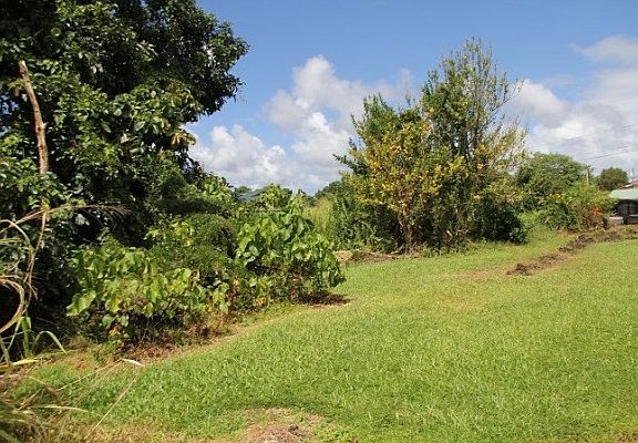 5th image of 1549 Kaupili Pl Lot 10