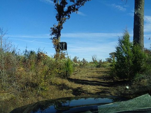 4th image of 2062 County Road 4204
