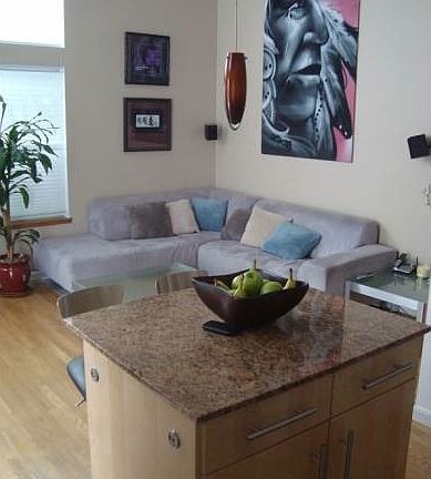 Kitchen / Living Room