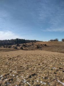 W12107 East Moore Road, Humbird, WI, 54746