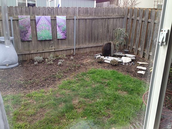 back yard fish pond