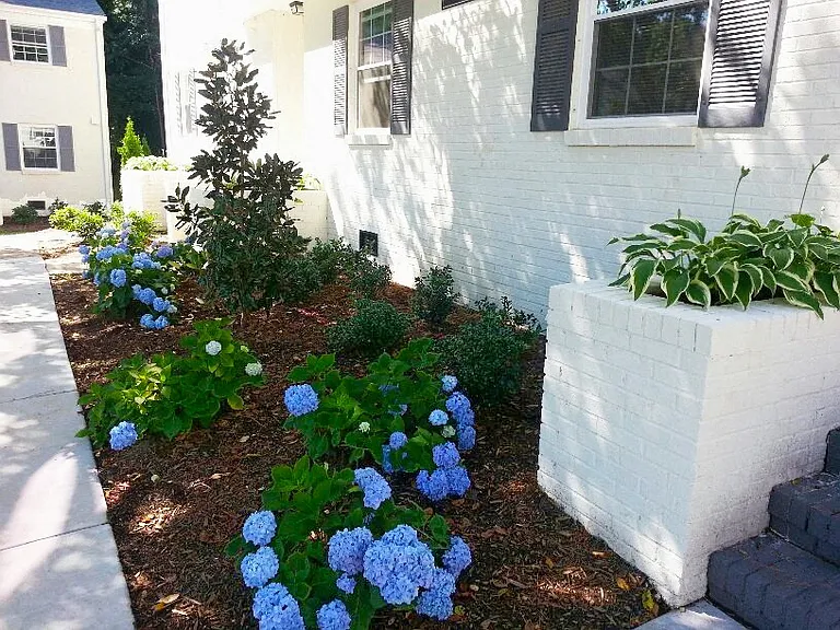 Midtown Park Townhomes — Photo 8