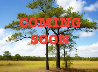 15108 Elmont Ave, Spring Hill, FL 34610