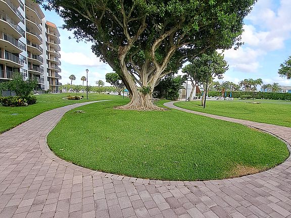 Bar B Que area on Intracoastal