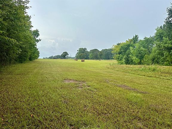 5th image of Roy Webb Rd