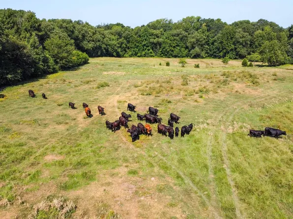 0 County Road 3335, Avery, TX 75554