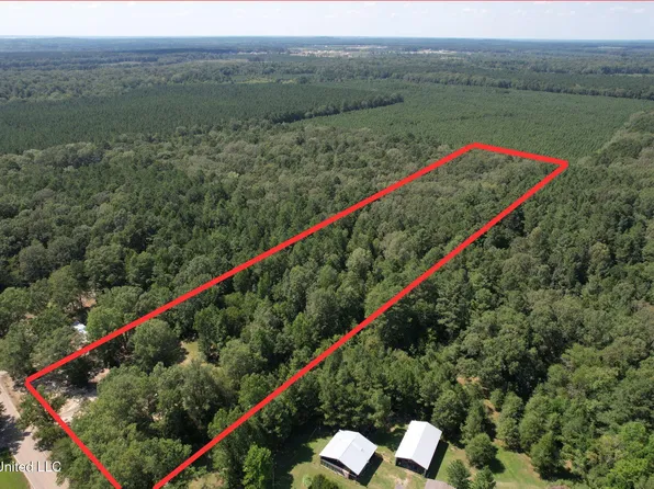 1603 Holly Bush Rd, Pelahatchie, MS 39145