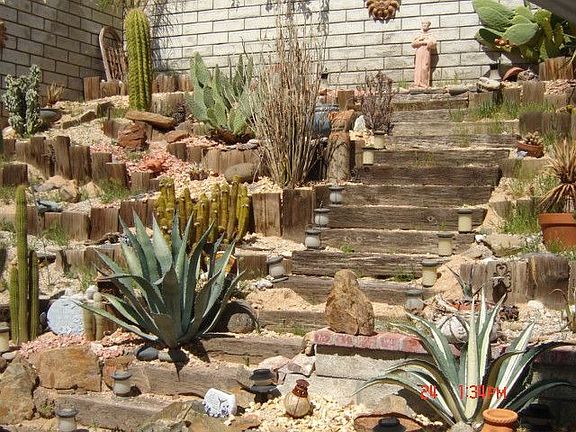Hill area garden
