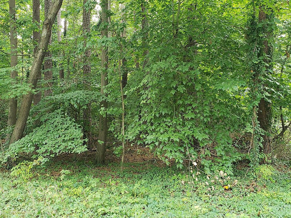 2nd image of 833 Whispering Pine Cir