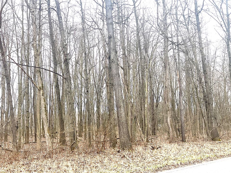 2nd image of 0 Tompkins Rd