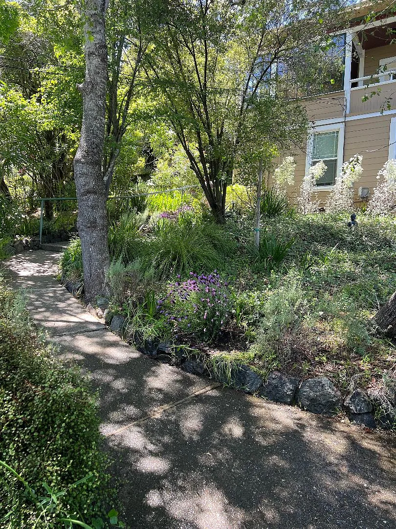 1 bed, 715 sqft, $2,750 — Photo 4