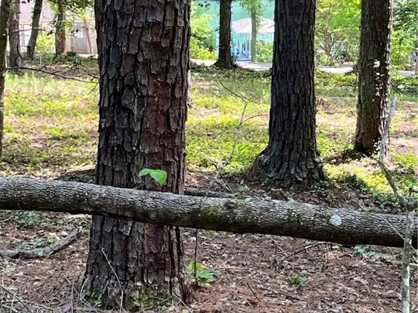 428 Long Reach Dr, Salem, SC 29676