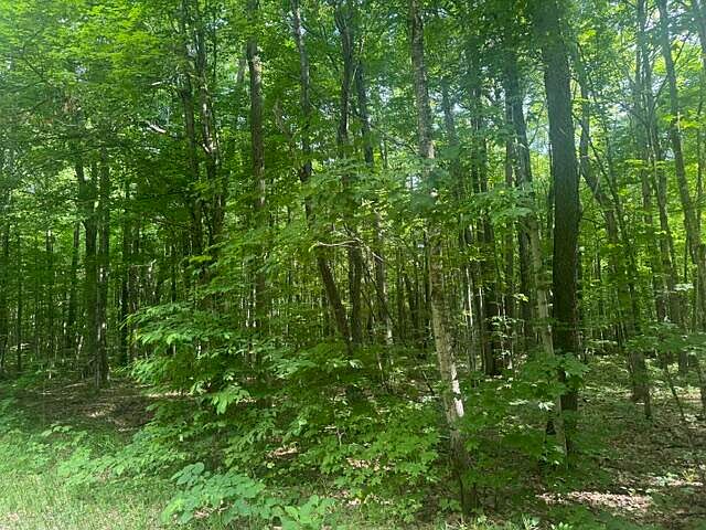 1st image of 4439 Derry Rd