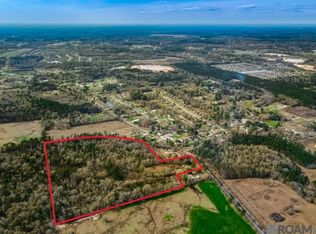 11230 Springfield Rd, Denham Springs, LA 70706