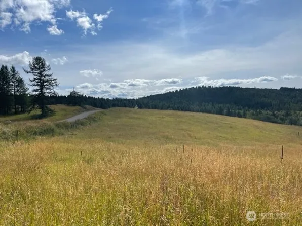 111 TBD Davies Road, Oroville, WA 98844