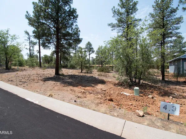 381 E HUCKLEBERRY Lane #4, Show Low, AZ 85901